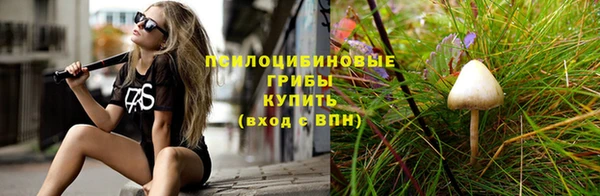 дживик Абаза