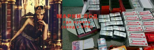дживик Абаза