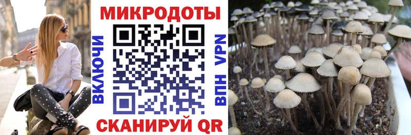 Галлюциногенные грибы Cubensis  наркотики  Батайск 